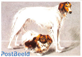 Barzoi en Pekinees