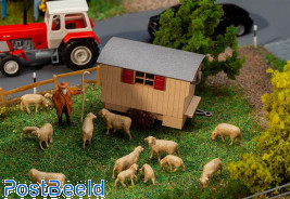 Shepherd carriage