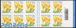 Yellow tulip booklet