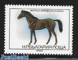 horses 23 st. error
