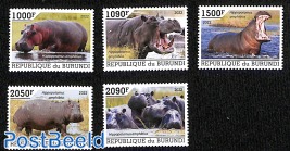 Hippos, 5v