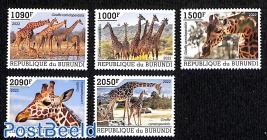 Giraffes, 5v