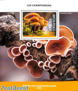 Mushrooms s/s