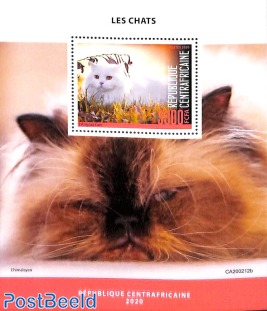 Cats s/s