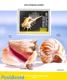 Shells s/s