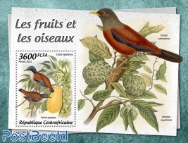 Fruits and birds