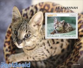 Savannah cat