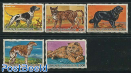Dogs & cats 5v