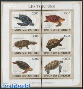 Turtles 6v m/s
