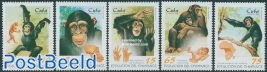 Chimpansees 5v