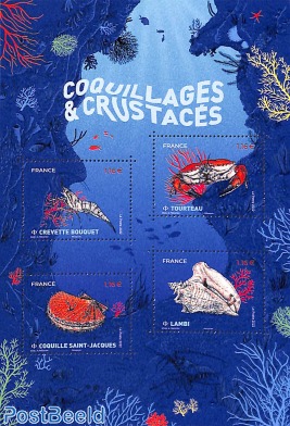 Shellfish s/s
