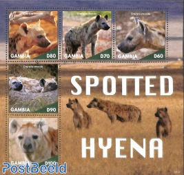 Spotted Hyena 5v m/s