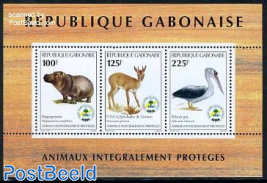 Rare animals 3v m/s