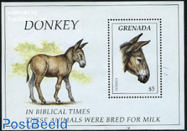 Donkey s/s