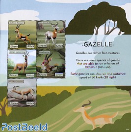 Gazelle 5v m/s