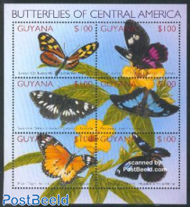Butterflies 6v m/s /Sweet oil butterfly