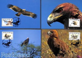 WWF, Birds of Prey 4v