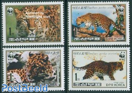WWF, Leopard 4v