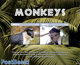 Monkeys 2v m/s