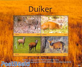 Duiker 4v m/s