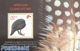 African Guinea Fowl s/s
