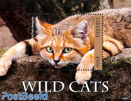 Wild Cats s/s