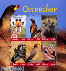 Oxpecker 6v m/s