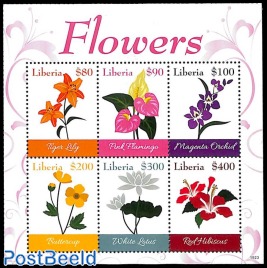 Flowers 6v m/s