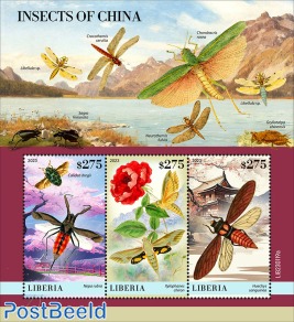 Insects of China