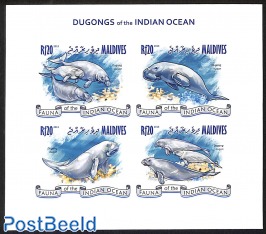 dugongs, imperforated