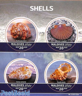 Shells 4v m/s