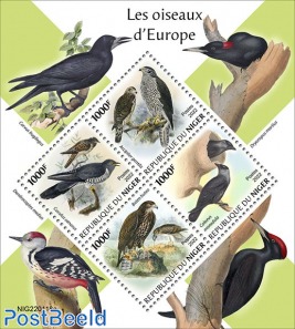 European Birds