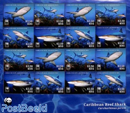 Caribbean Reef Shark m/s (with 4 sets)