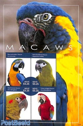 Macaws 4v m/s