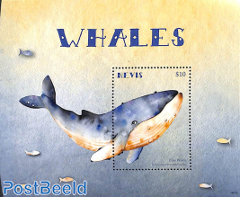 Whales s/s