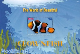 Clownfish s/s