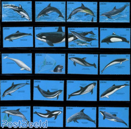 Dolphins 20v