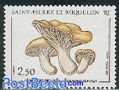 Mushroom 1v