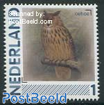 Birds, Eurasian eagle owl 1v