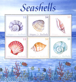 Seashells 6v m/s