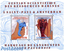 Langouste Jasus Paulensis s/s
