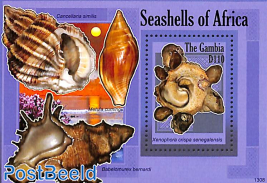 Seashells s/s