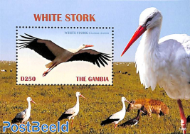 White Stork s/s