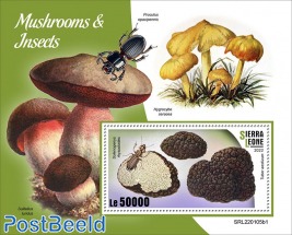 Mushrooms and Insects