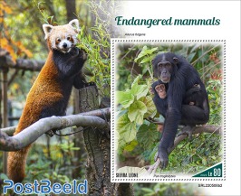 Endangered mammals