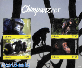 Chimpanzees 4v m/s