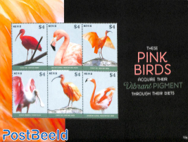 Pink birds 6v m/s