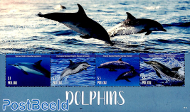 Dolphins 4v m/s