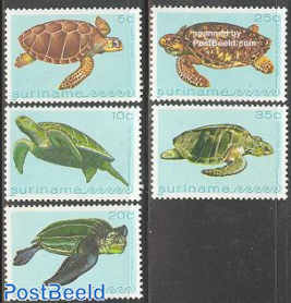 Turtles 5v