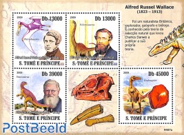 Alfred Russel Wallace 4v m/s